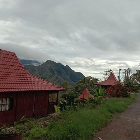Home Stay Wolokoro Ecotourism Bajawa Dış mekan fotoğraf