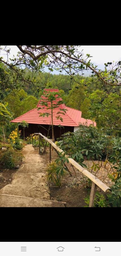 Home Stay Wolokoro Ecotourism Bajawa Dış mekan fotoğraf