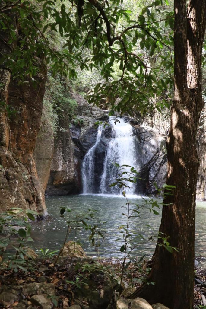 Home Stay Wolokoro Ecotourism Bajawa Dış mekan fotoğraf