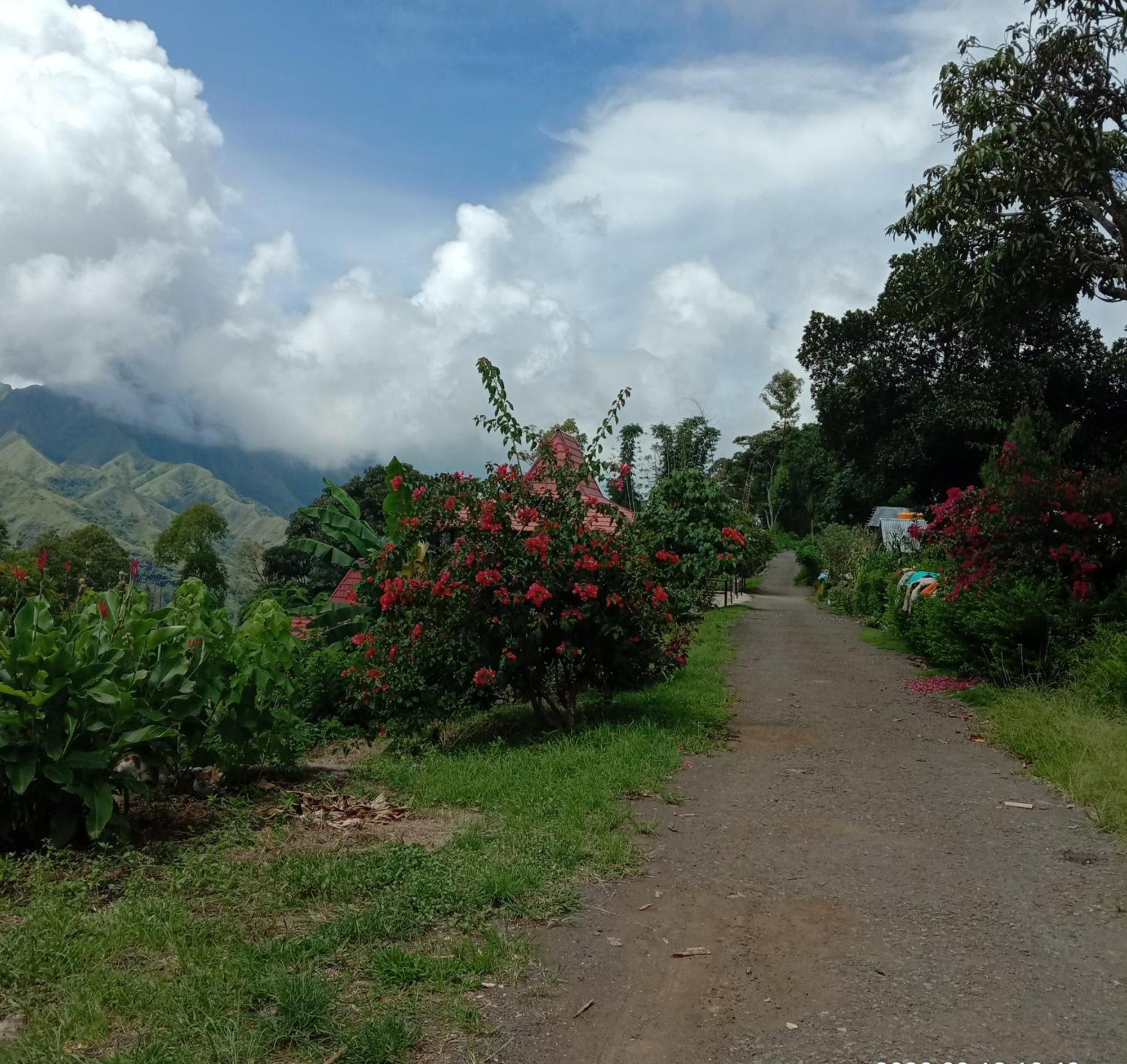 Home Stay Wolokoro Ecotourism Bajawa Oda fotoğraf