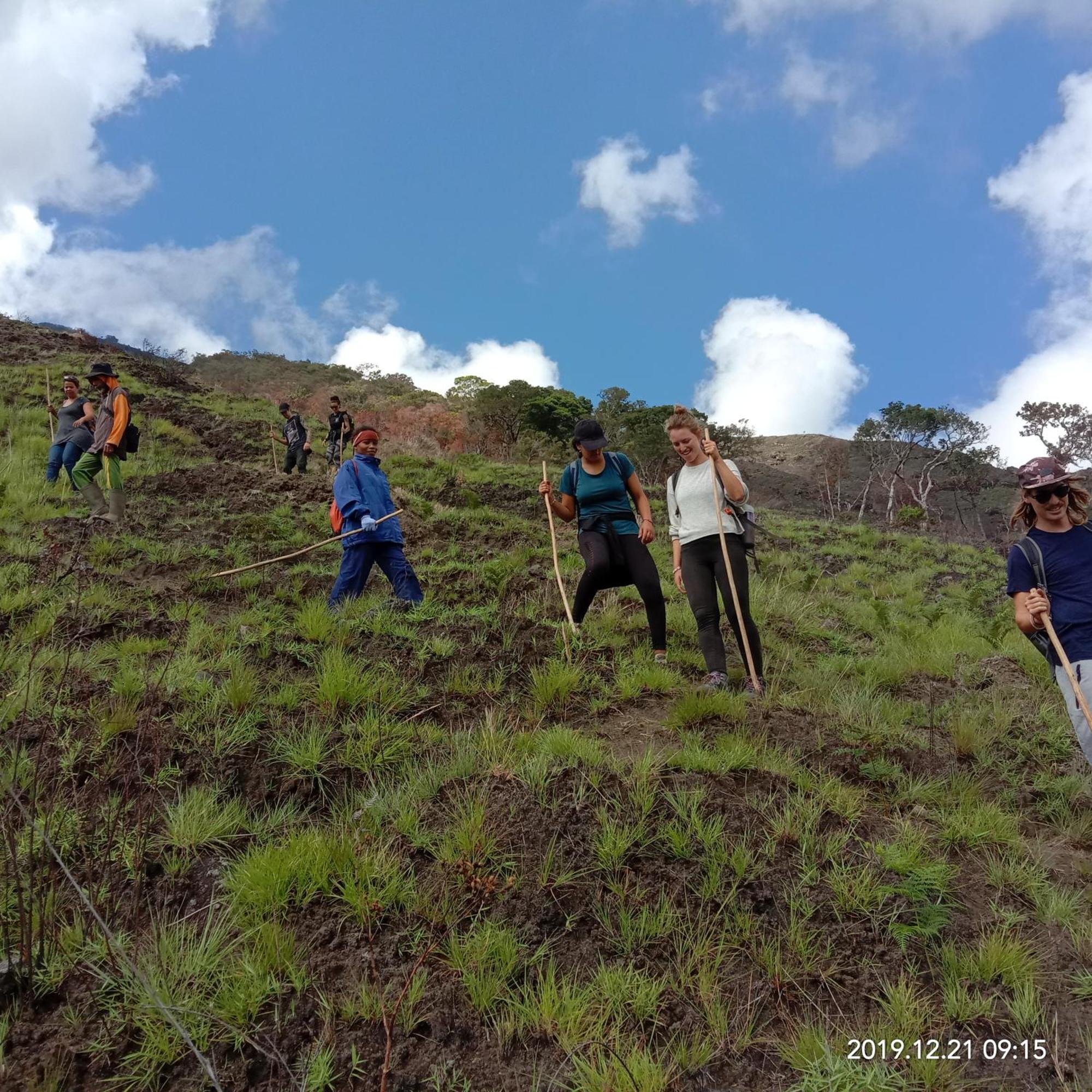 Home Stay Wolokoro Ecotourism Bajawa Oda fotoğraf